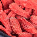 Certified organic goji berry healthy dried goji gerries